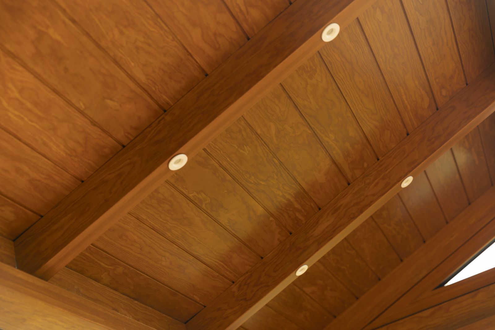 Pavillons & charpentes structurelles